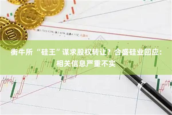 衡牛所 “硅王”谋求股权转让？合盛硅业回应：相关信息严重不实