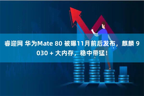 睿迎网 华为Mate 80 被曝11月前后发布，麒麟 9030 + 大内存，稳中带猛！