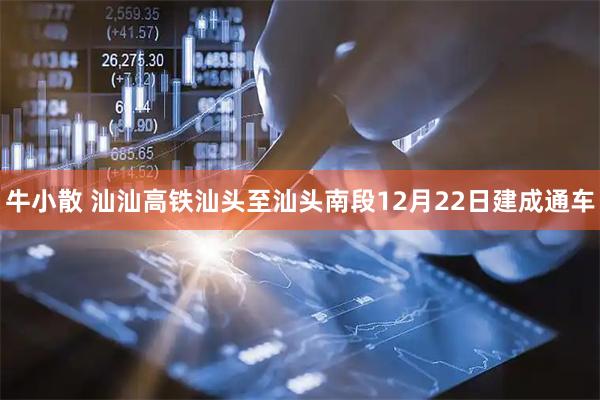 牛小散 汕汕高铁汕头至汕头南段12月22日建成通车