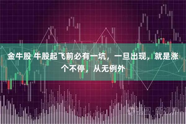 金牛股 牛股起飞前必有一坑，一旦出现，就是涨个不停，从无例外